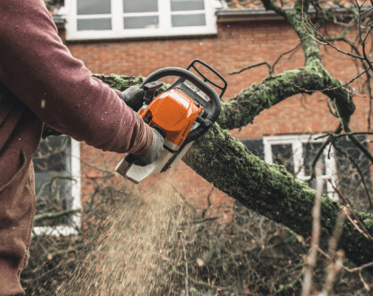 TREE TRIMMING